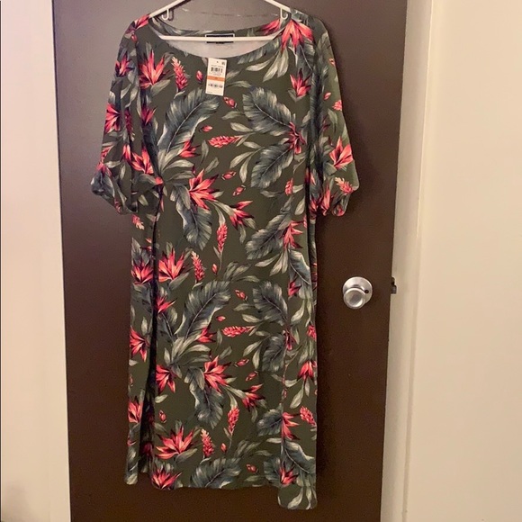 macys plus size dress tops